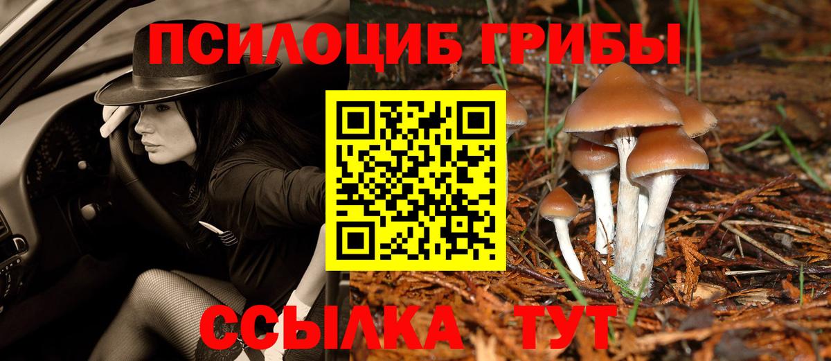 Галлюциногенные грибы Psilocybine cubensis  Вход с VPN  Клин 